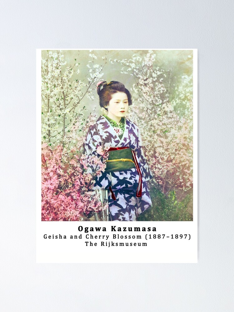 Geisha Wearing Kimono and Cherry Blossom By Ogawa Kazumasa Poster