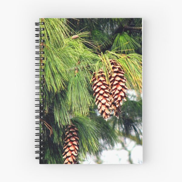 Item preview, On The Threshold of Winter - Sunlit Pine Cones  designed and sold by BlueMoonRose.