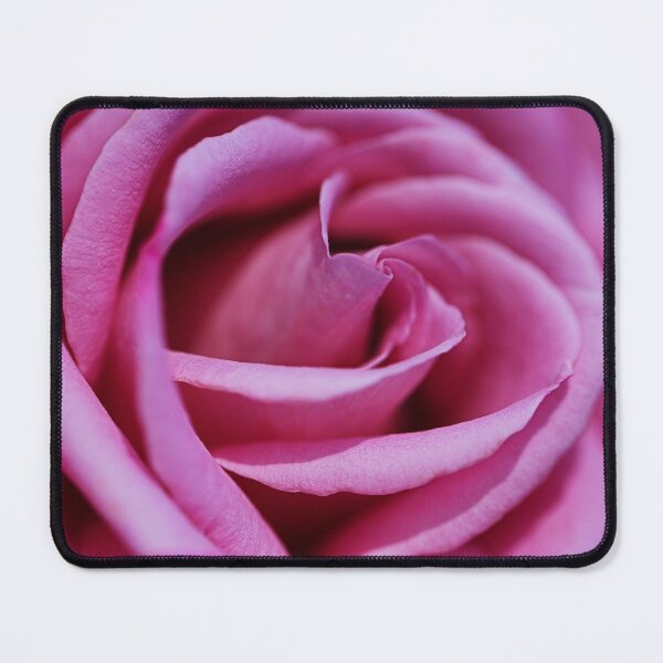 Item preview, Pink Love Rose designed and sold by Joy Watson - Natural Light Photography .