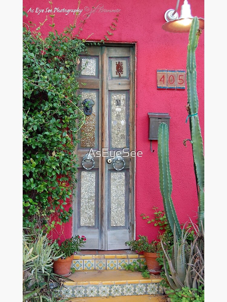 Not Just Any Door by AsEyeSee