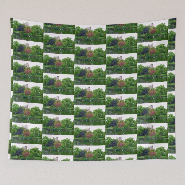 Item preview, Boston Common Study 9  designed and sold by Robert Meyers-Lussier.