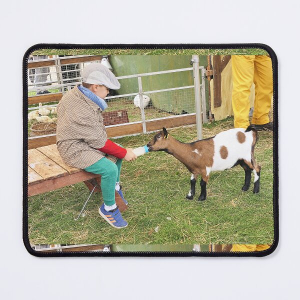 Item preview, r516 / finition 2022 - 3 - Traveling educational farm-Ferme pédagogique itinérante " Tiligolo " - photo - Okaio Créations Olavia-Olao designed and sold by o.okaïo.