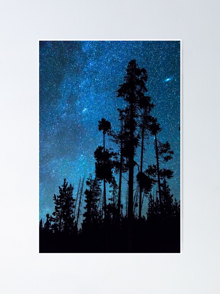 Alternate view of Pinnacle Of The Forest Poster
