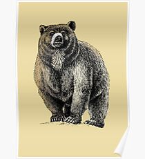 The Great Bear - A fierce protector Poster