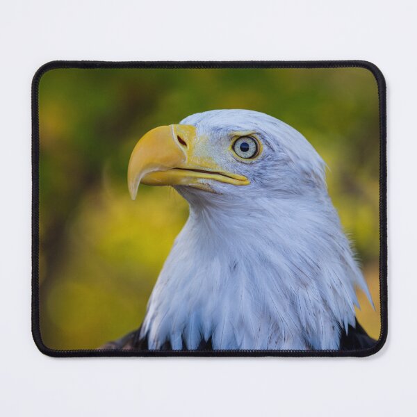 Item preview, Autumn Eagle designed and sold by Greg Birkett.