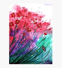 Flowers - Dancing Poppies Photographic Print