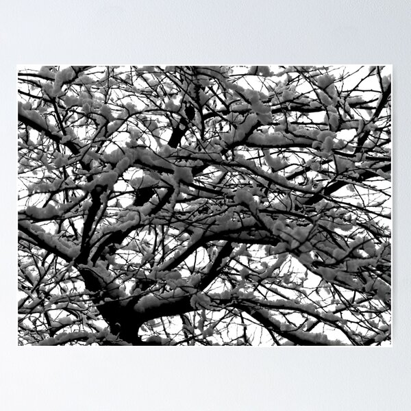 Item preview, Snow in the branches designed and sold by Thaddeus Zajdowicz.