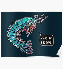Come At Me Bro! Poster