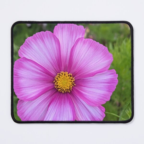 Item preview, Meadow flower designed and sold by Skycladstevie.