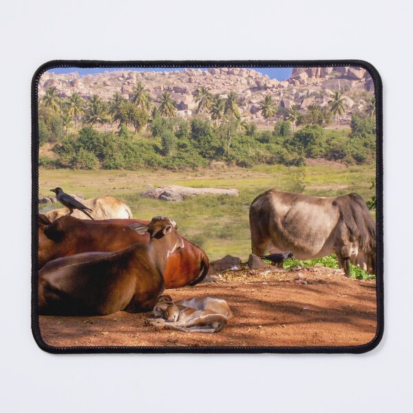 Item preview, Lazing designed and sold by indiafrankk.
