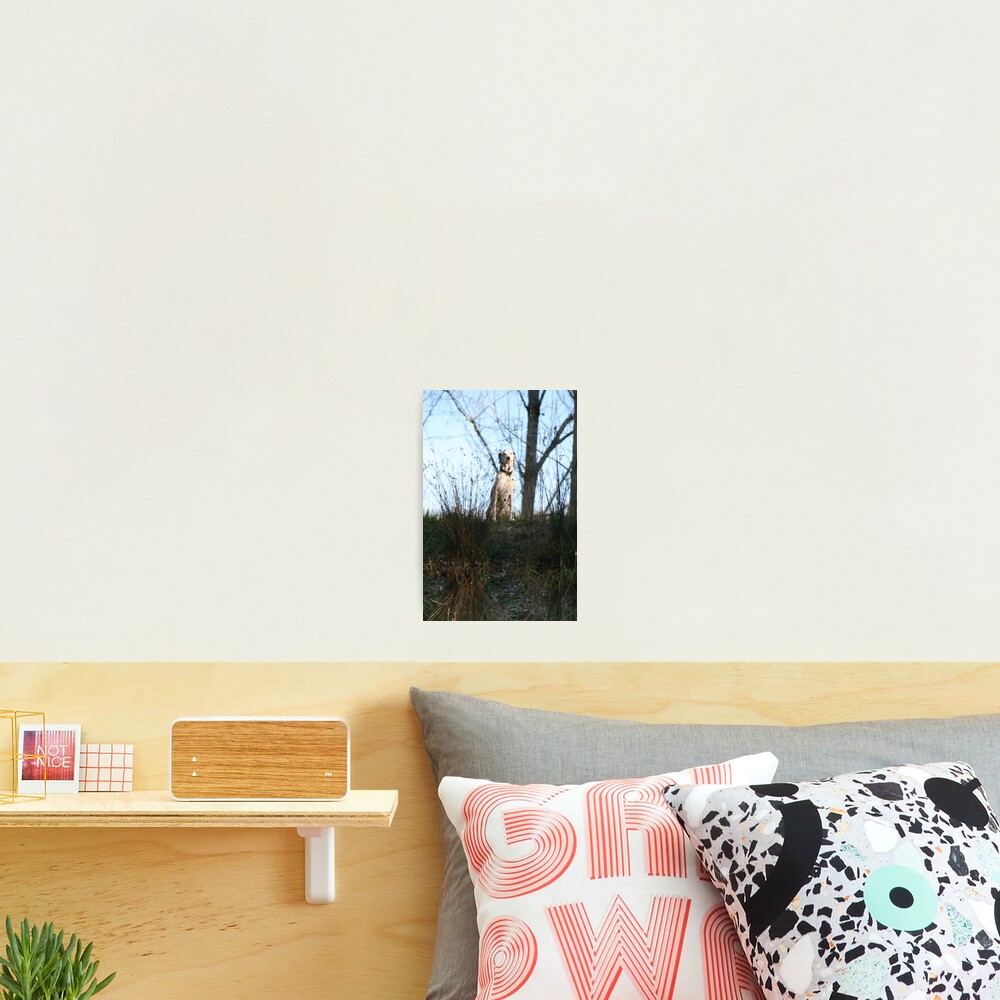 Item preview, Photographic Print designed and sold by Denzil.