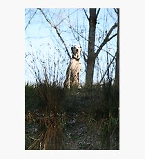 Inversion Photographic Print