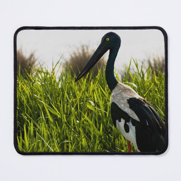 Item preview, Jabiru in the Grass designed and sold by Zac Webster.
