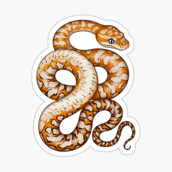 Item preview, Centralian Carpet Python designed and sold by miss-varanus.