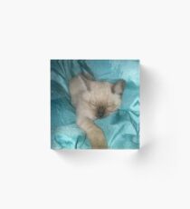 Satin Kitty Acrylic Block