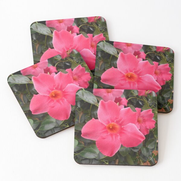 Item preview, Flores Mandevilla designed and sold by Floral-Art.