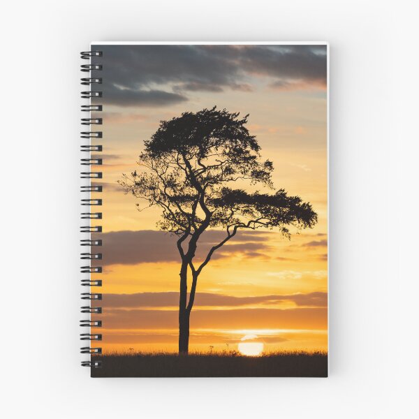 Item preview, Lone beech tree against a beautiful sunset, Roundway hill, Devizes designed and sold by Victoria Ashman.