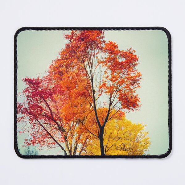 Artikelvorschau, Melancholische Herbstbäume in einem Park entworfen und verkauft von FuturITsic.Synthography.