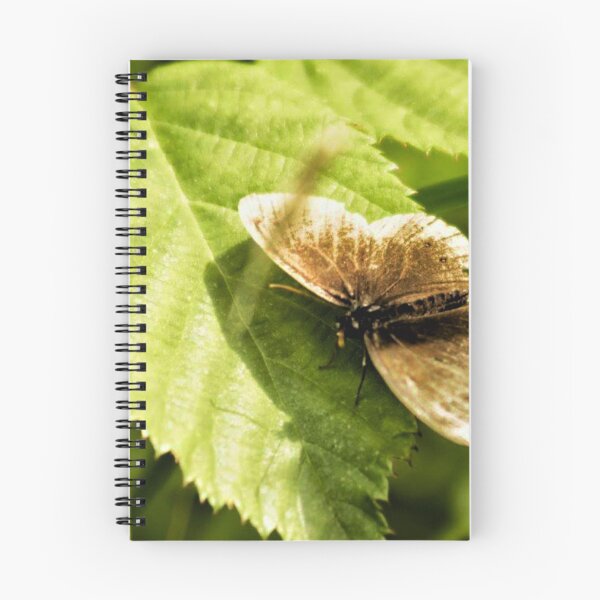 Item preview, brown butterfly on a green leaf designed and sold by Francespoppy.