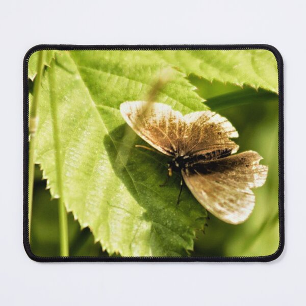 Item preview, brown butterfly on a green leaf designed and sold by Francespoppy.