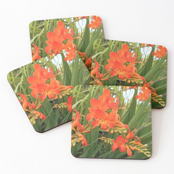Item preview, Crocosmia flowers designed and sold by Floral-Art.