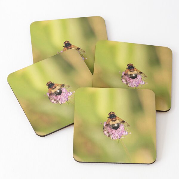 Artikelvorschau, Biene auf einer lila Wildblume entworfen und verkauft von Francespoppy.