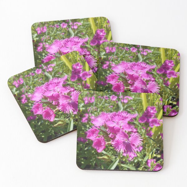 Item preview, Dianthus flowers designed and sold by Floral-Art.