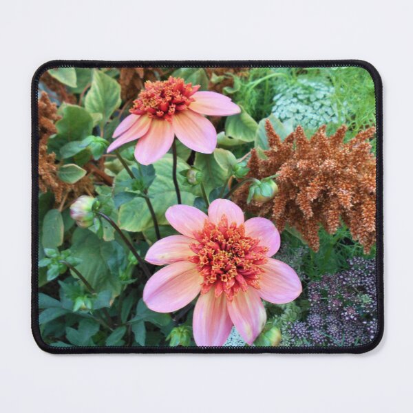 Item preview, Dahlias, Daucus and Amaranthus designed and sold by Floral-Art.
