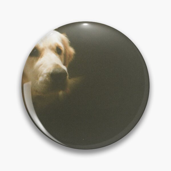 Item preview, Golden retriever 35mm film designed and sold by Dominique Tassell.