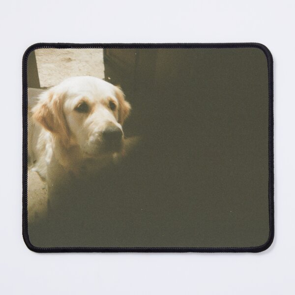 Item preview, Golden retriever 35mm film designed and sold by Dominique Tassell.