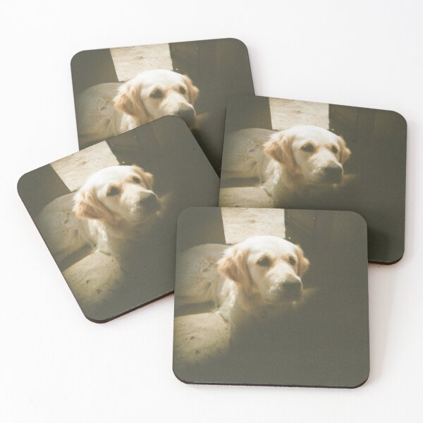 Item preview, Golden retriever 35mm film designed and sold by Dominique Tassell.