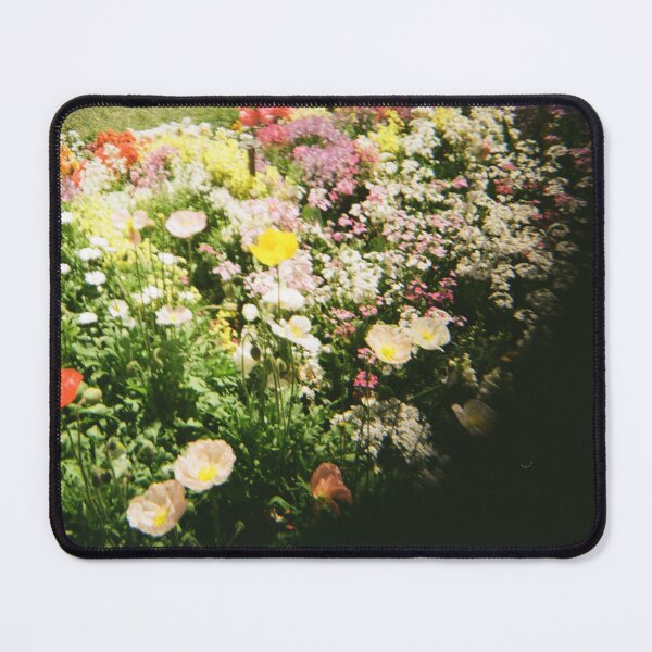Item preview, Carnival of Flowers 35mm film photography designed and sold by Dominique Tassell.
