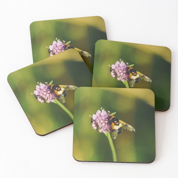 Artikelvorschau, Biene auf einer lila Wildblume entworfen und verkauft von Francespoppy.