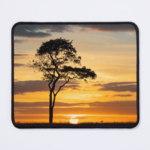 Item preview, Lone beech tree against a beautiful sunset, Roundway hill, Devizes designed and sold by Victoria Ashman.
