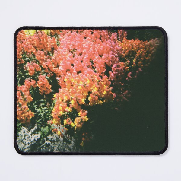 Item preview, Carnival of Flowers 35mm film photography designed and sold by Dominique Tassell.