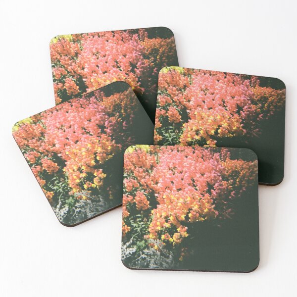 Item preview, Carnival of Flowers 35mm film photography designed and sold by Dominique Tassell.