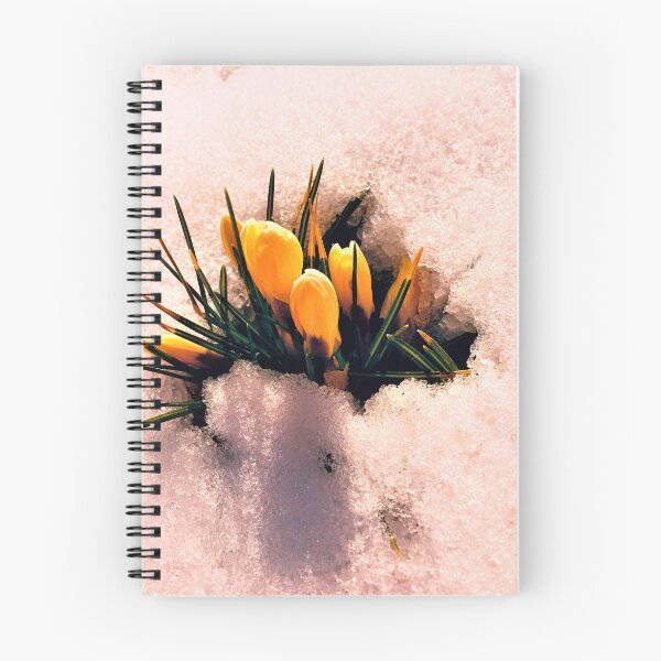 Item preview, flowers designed and sold by AntoniaGallery.