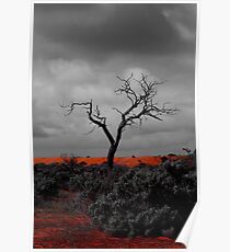 A myall away Poster