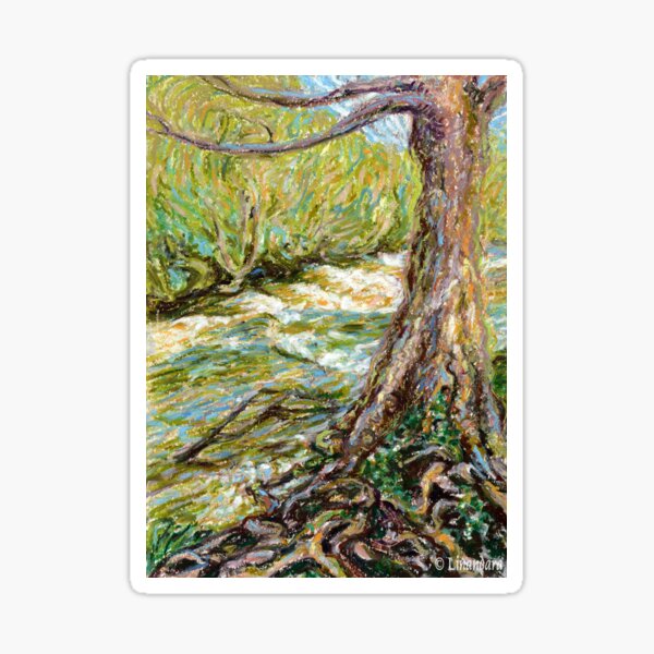 River Hafren (Severn) in September Sticker