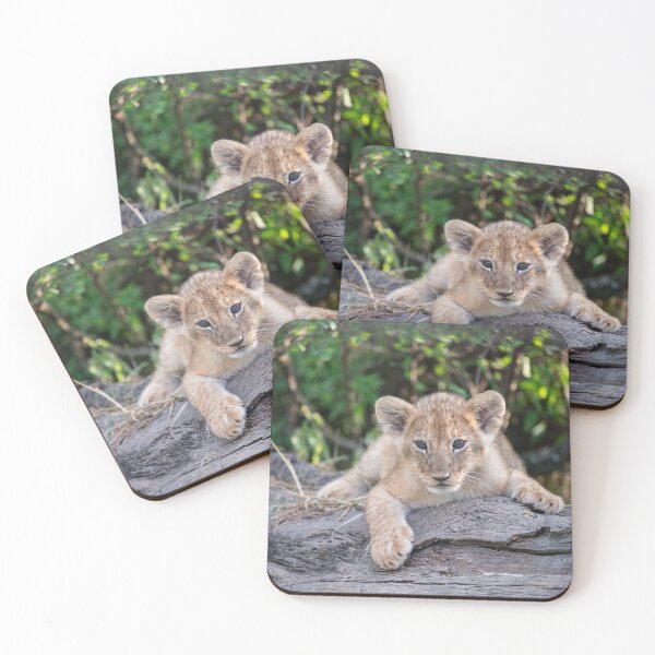 Item preview, Relaxed lion cub designed and sold by Ingo Gerlach.