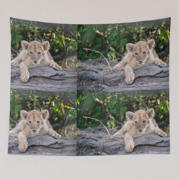 Item preview, Relaxed lion cub designed and sold by Ingo Gerlach.
