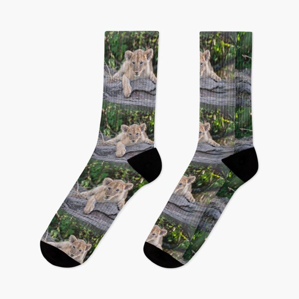 Item preview, Relaxed lion cub designed and sold by Ingo Gerlach.