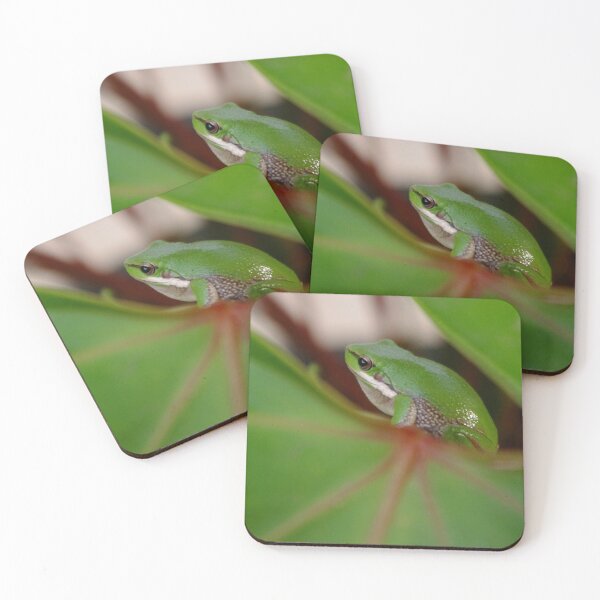 Item preview, Lilly frog designed and sold by Penny Kittel.