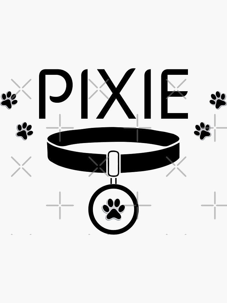 "PIXIE Pet's Name My girl cat name is PIXIE PIXIE cat's Name