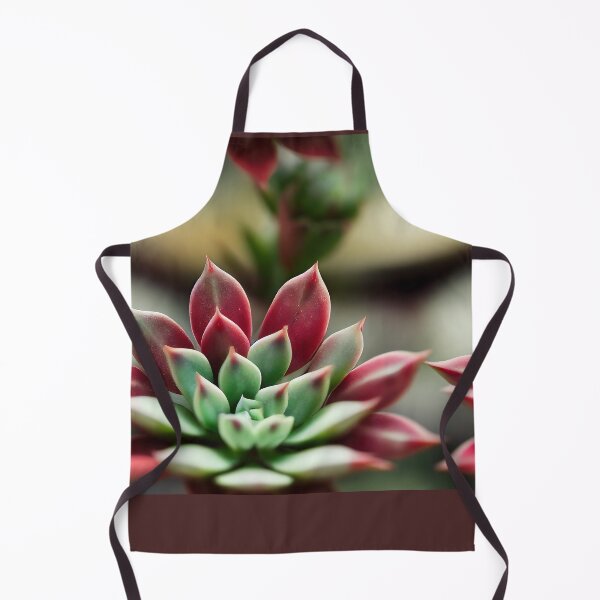 Item preview, Echeveria Agavoides “Lipstick Plant“ designed and sold by GrannyMouse.
