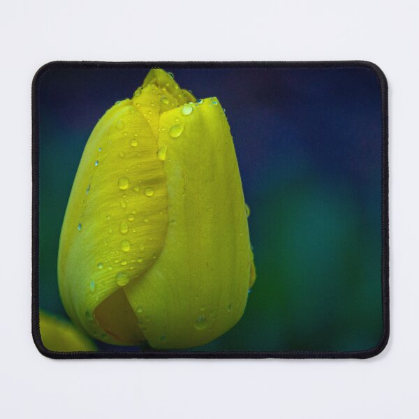 Item preview, Springtime Tulip, Ready to Blossom designed and sold by Steven Jodoin.