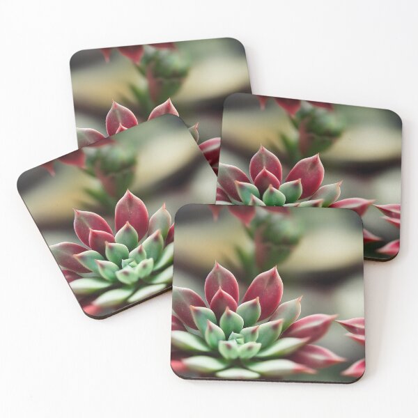 Item preview, Echeveria Agavoides “Lipstick Plant“ designed and sold by GrannyMouse.