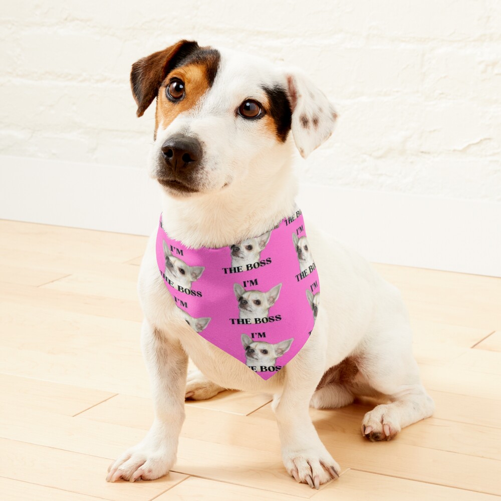 Bonds dog hot sale bandana