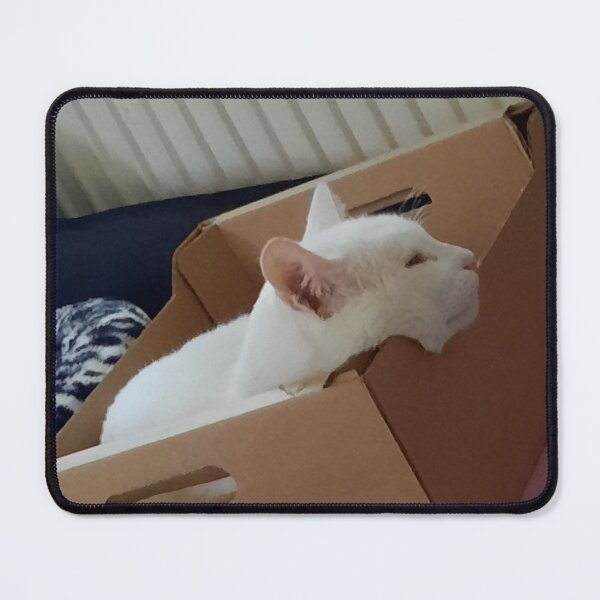 Item preview, white cat in a box designed and sold by barbich.