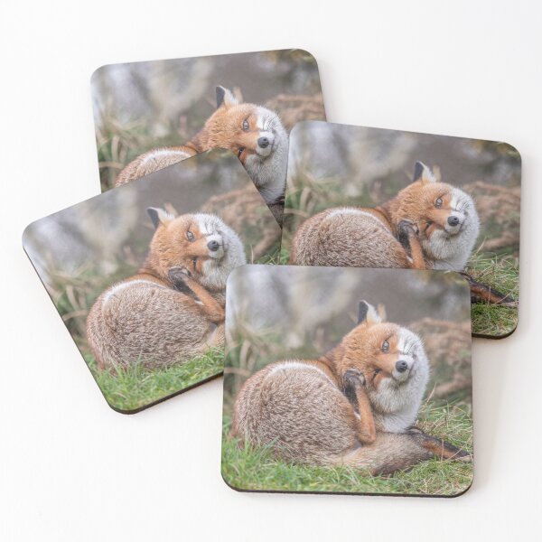 Item preview, Red Fox designed and sold by Steve Liptrot Photography.